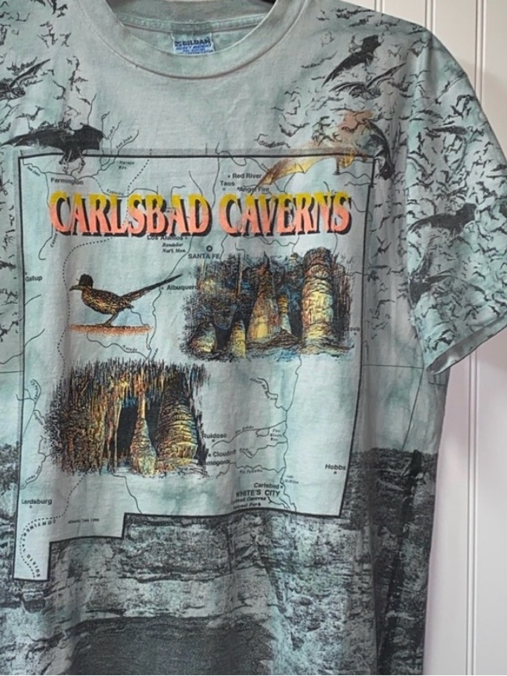 90s AOP New Mexico Carlsbad Caverns Shirt XL Caves Bats Ruidoso Albuquerque